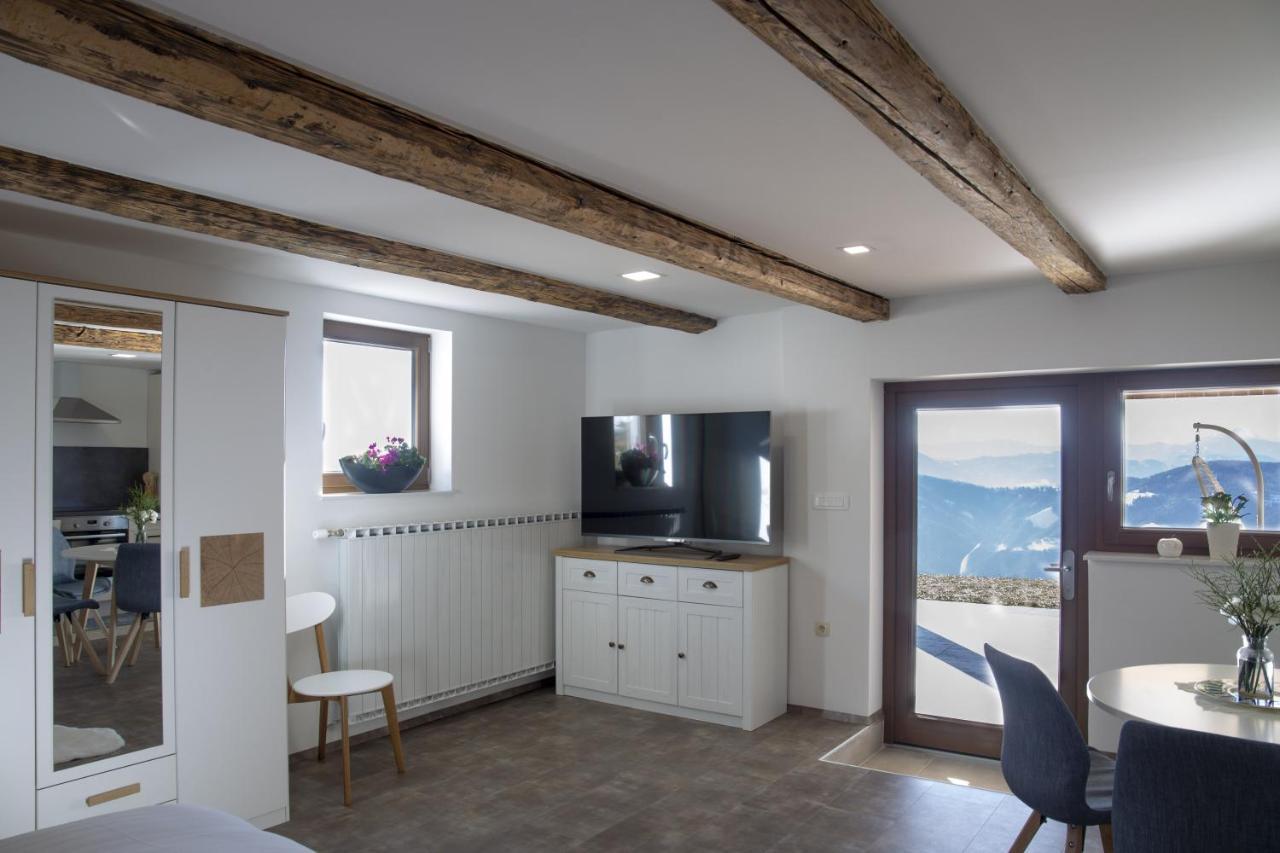 Studio 1111 With Sauna & Hot Tub Dravograd Экстерьер фото